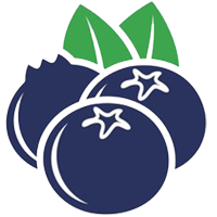 Blueberry Example School