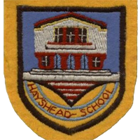 Hayshead Primary School